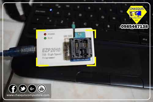 bio programacion